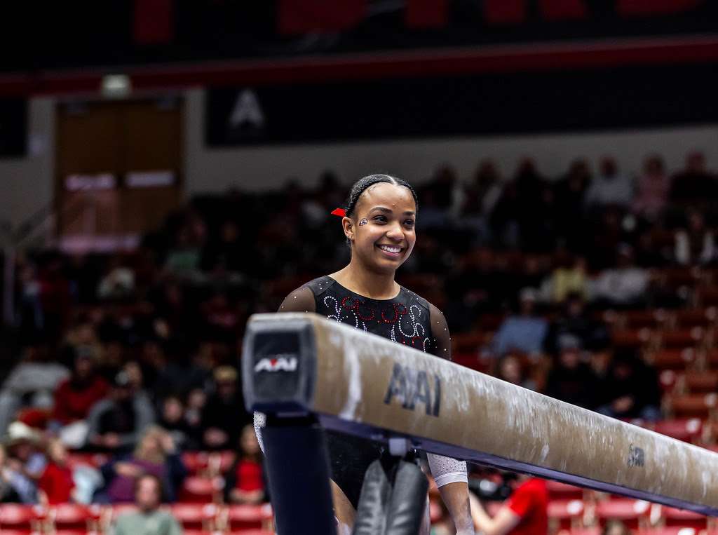 gymnastics 3.1
