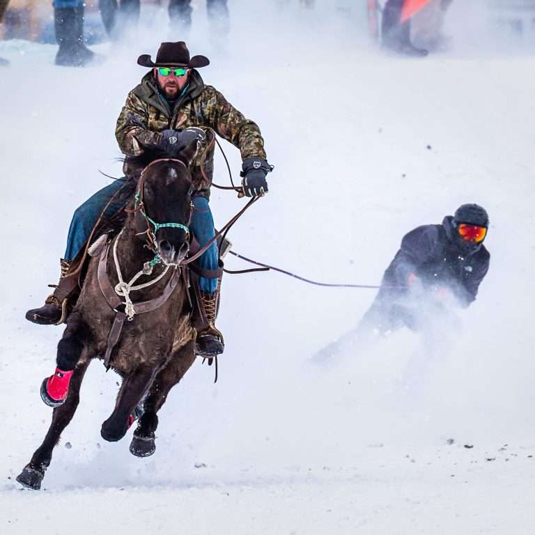skijoring