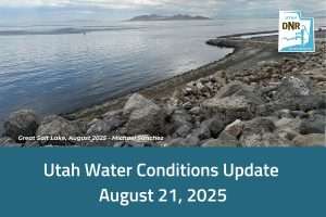 water conditions