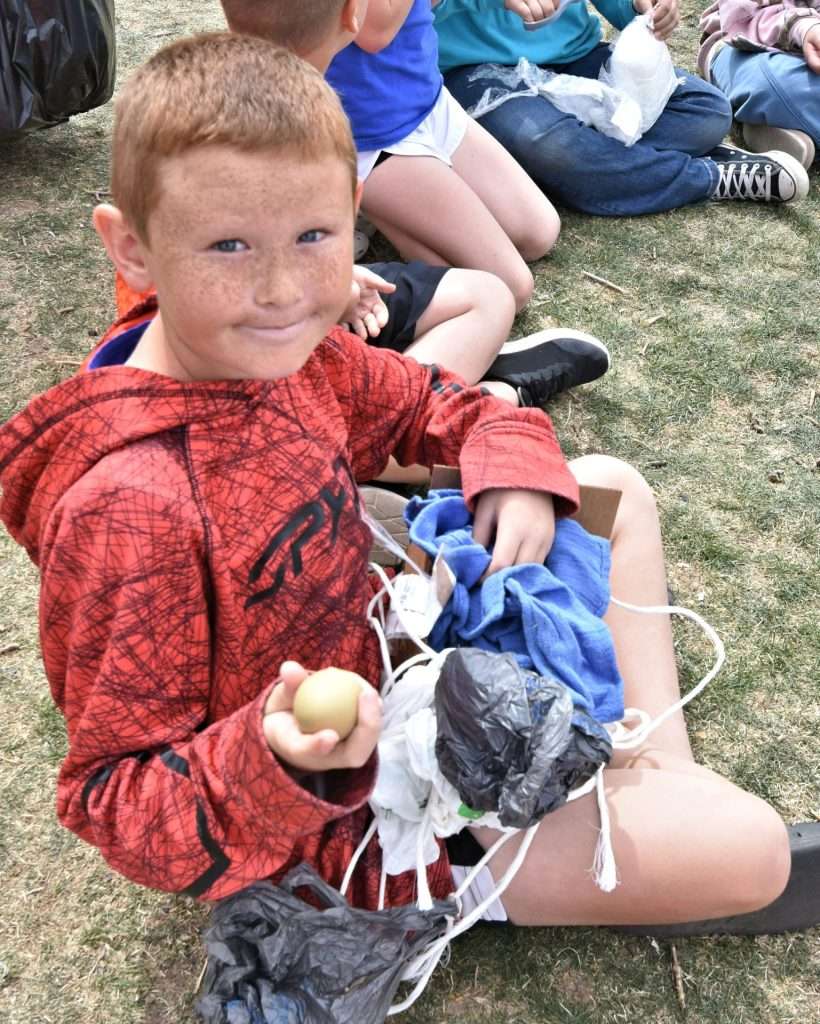 egg11