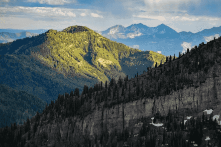 Dixie National Forest